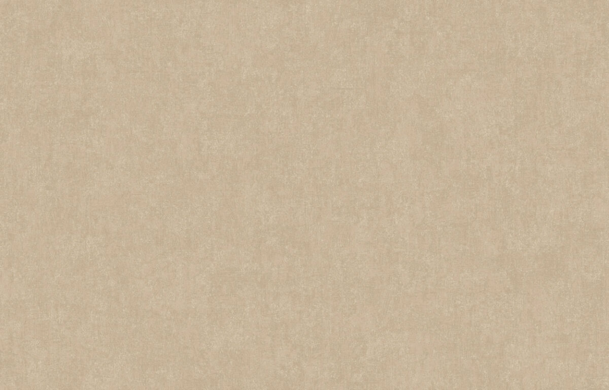 ARTS13 004/1