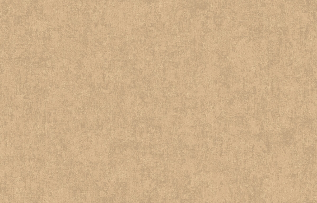 ARTS13 004/3