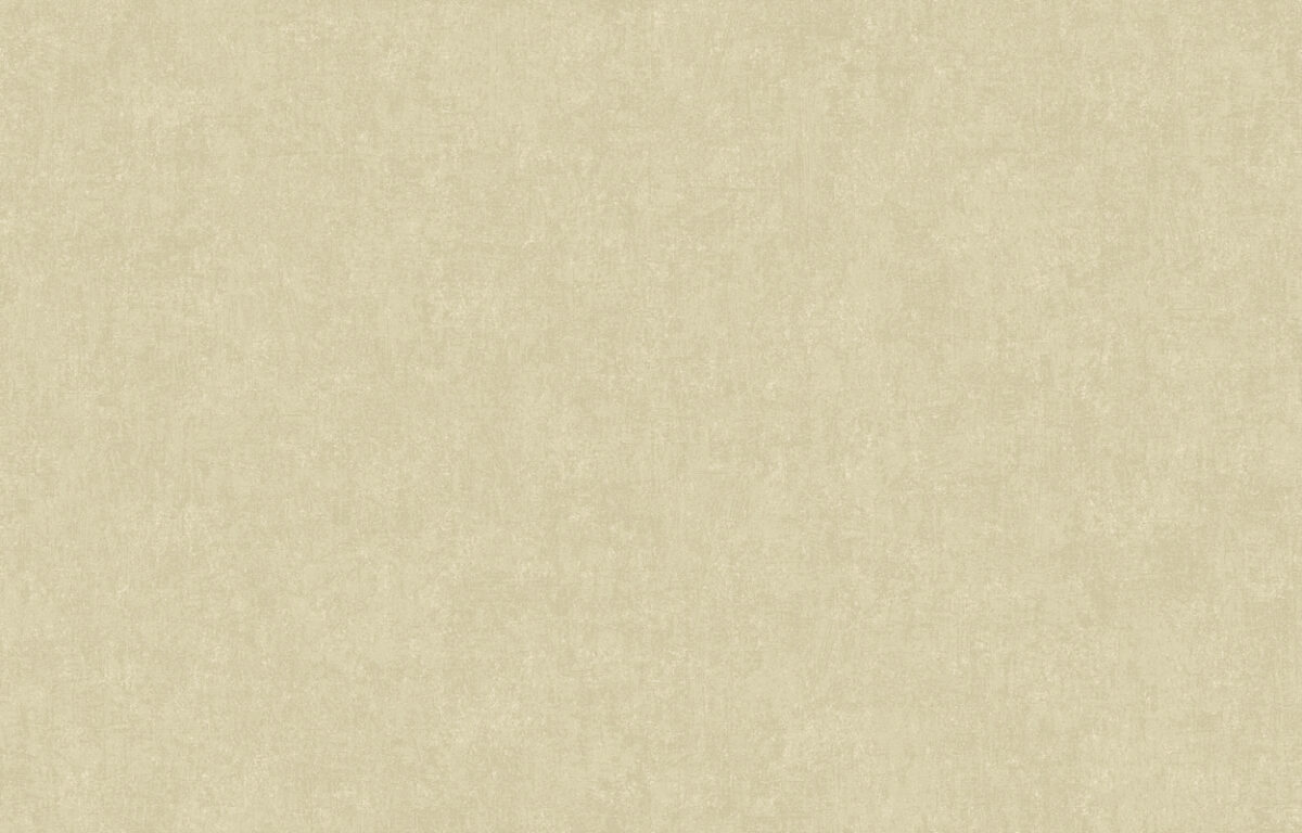 ARTS13 005/1