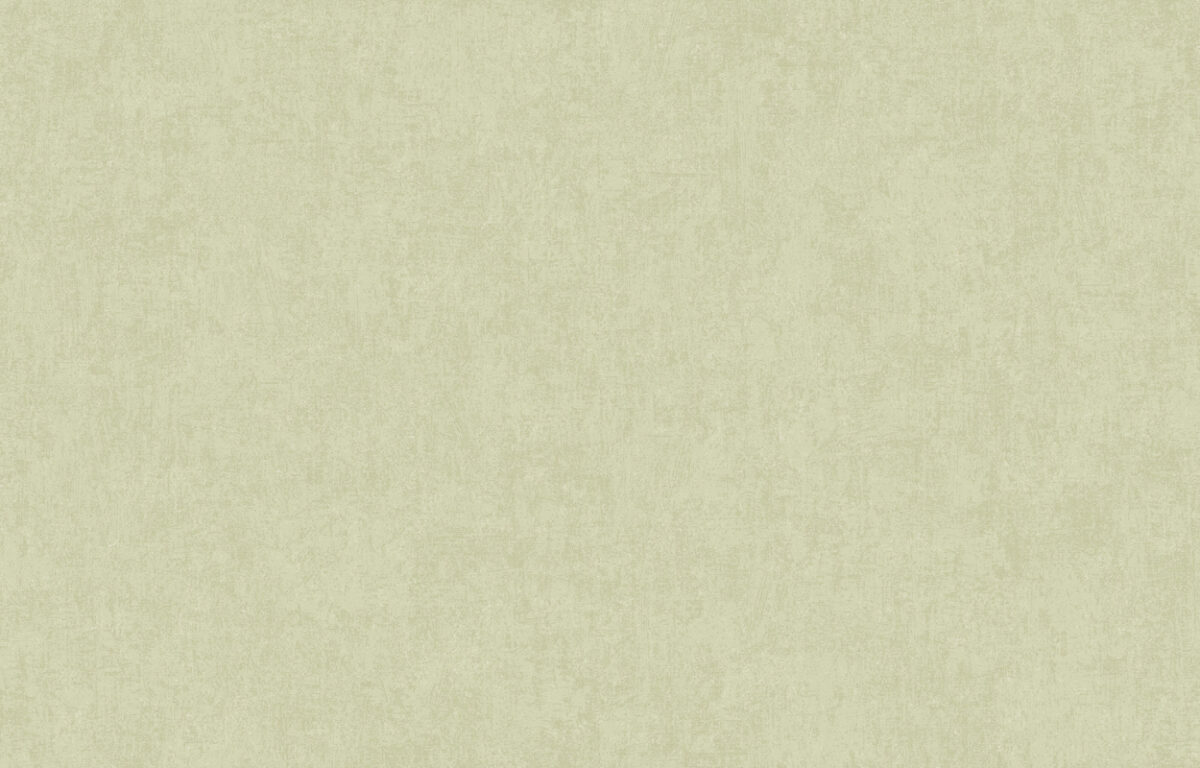 ARTS13 005/2