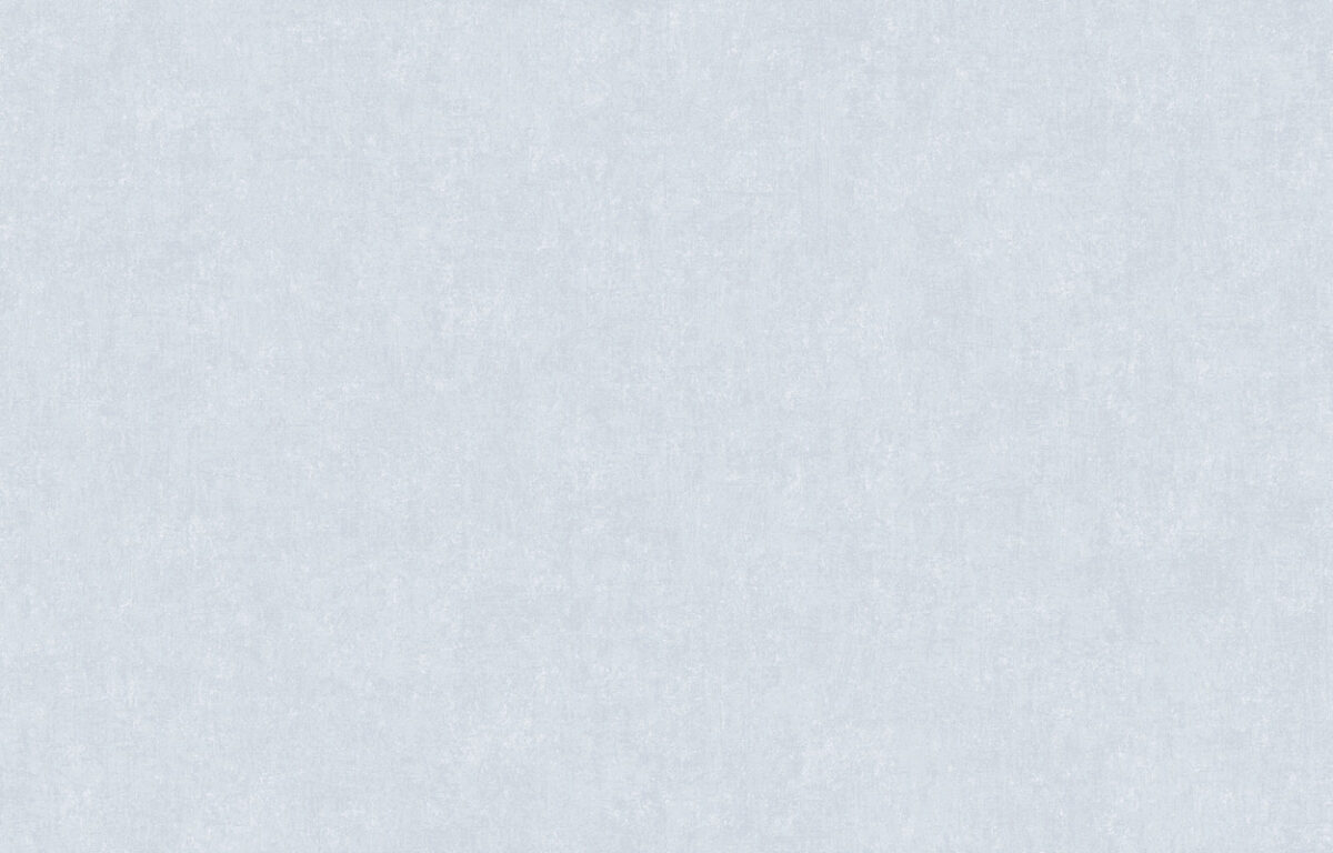 ARTS13 006/1