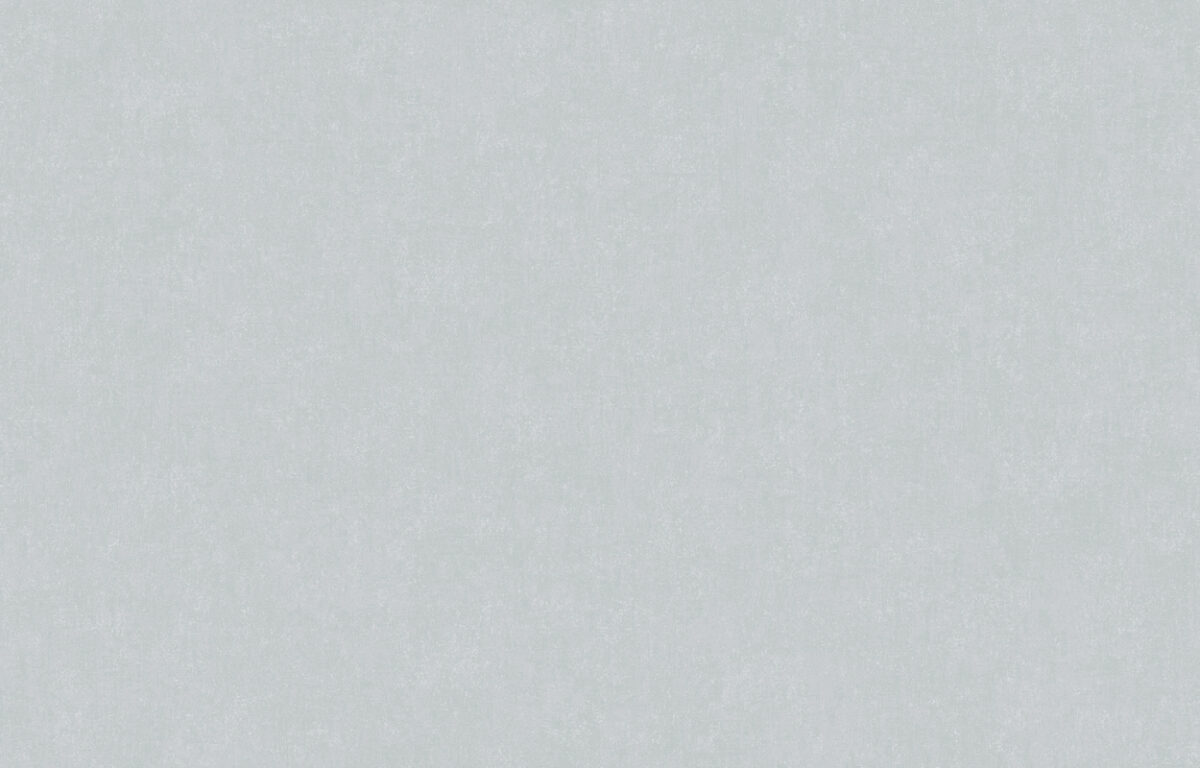 ARTS13 006/2