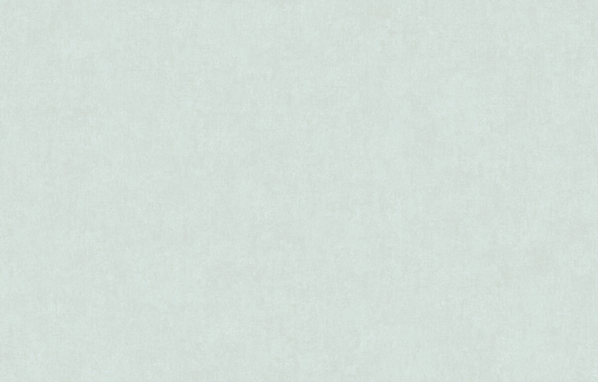 ARTS13 006/4