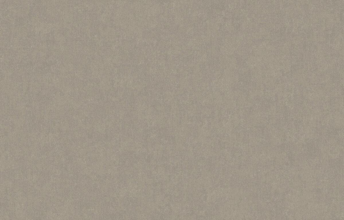 ARTS13 008/1