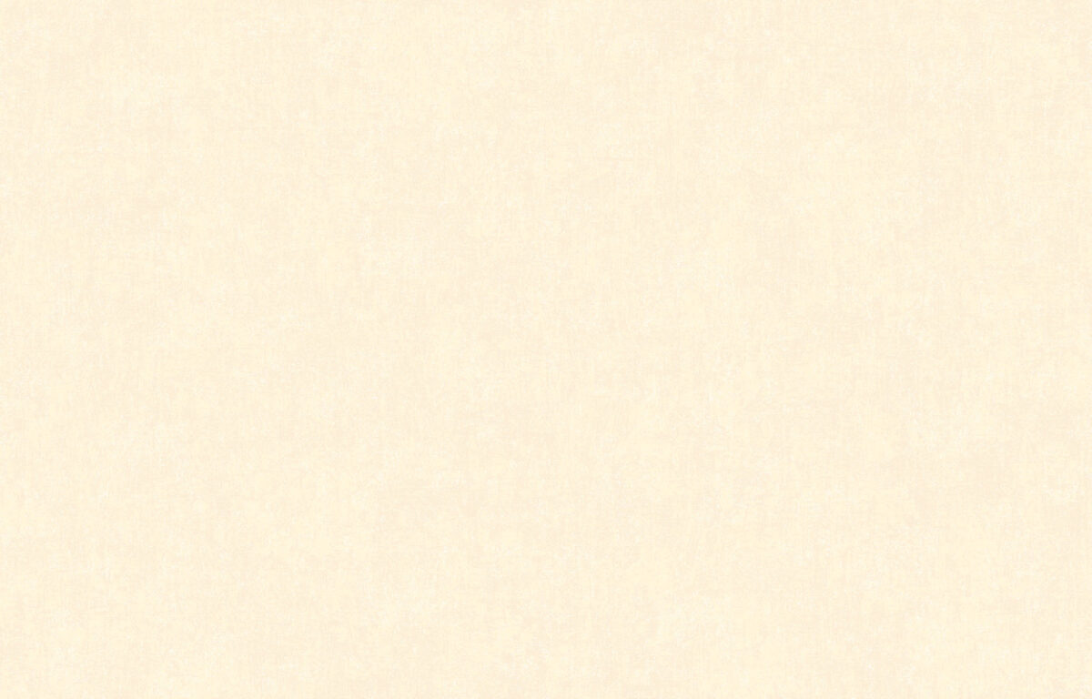 ARTS13 102