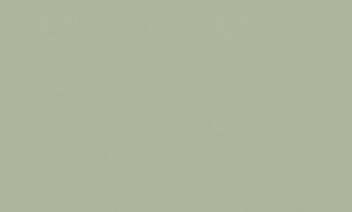 A100109