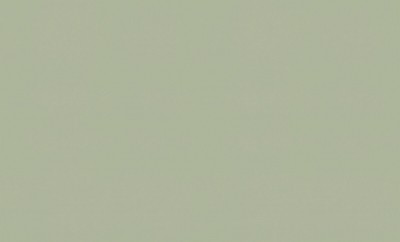 A100109
