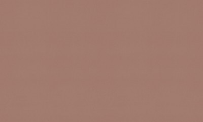 A100120