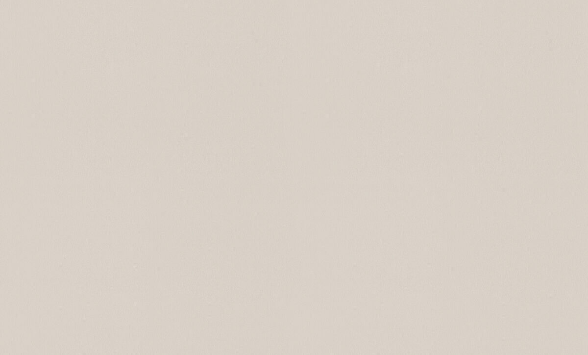 A100205
