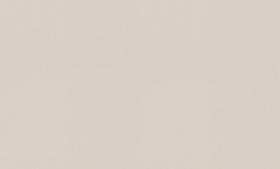 A100205