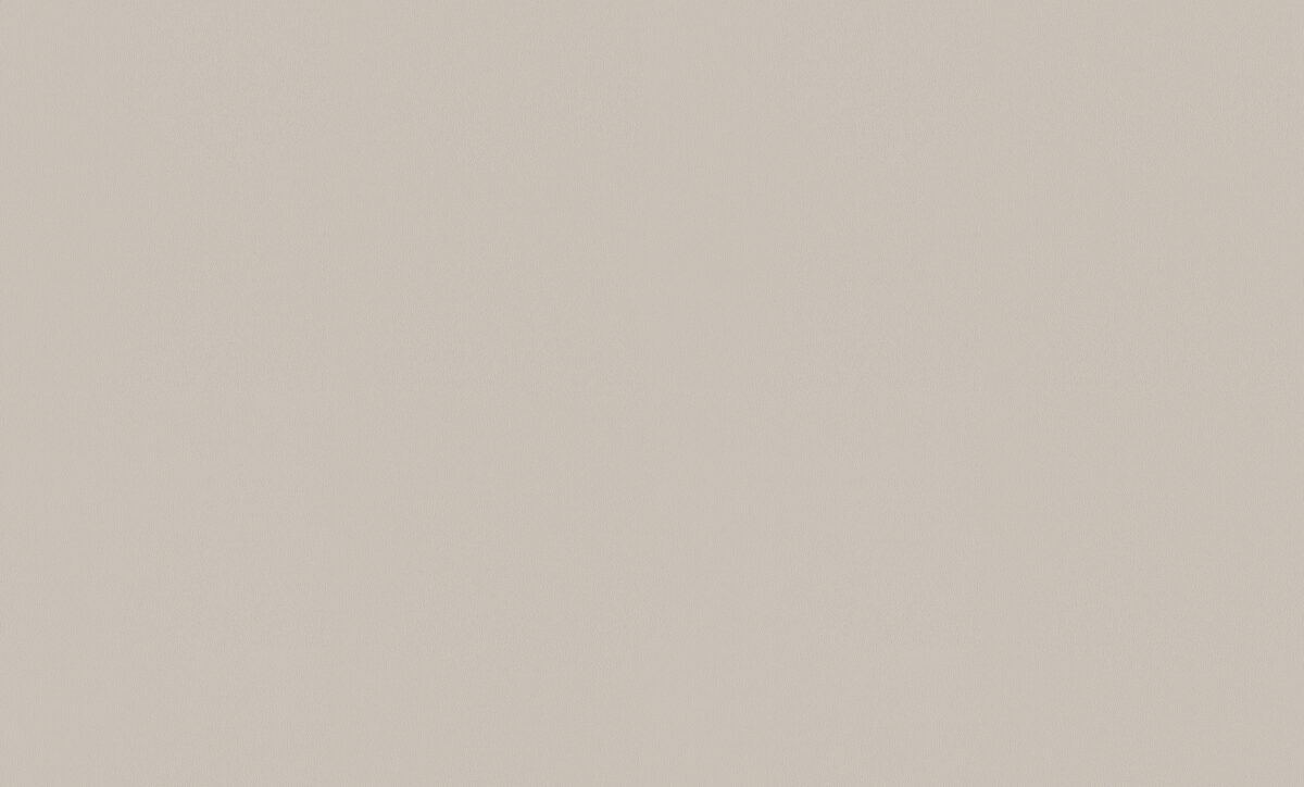 A100206
