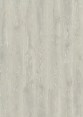 Дуб Студийный