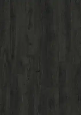 Дуб Черный 