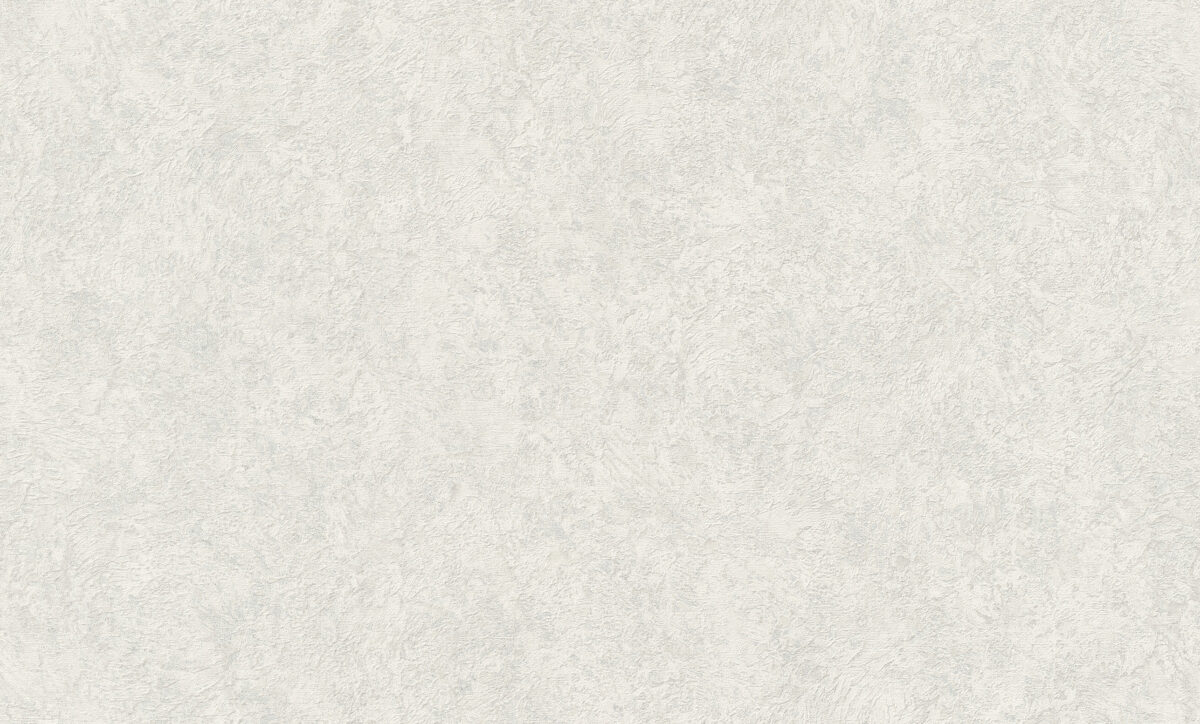 A55101