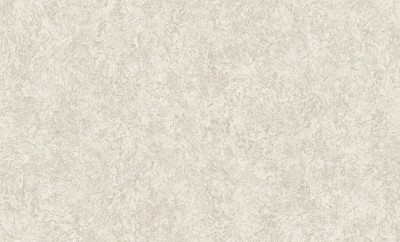 A55104