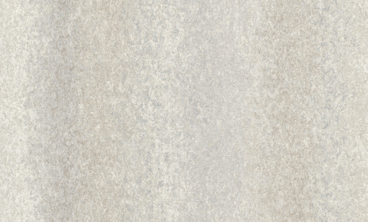 A55205