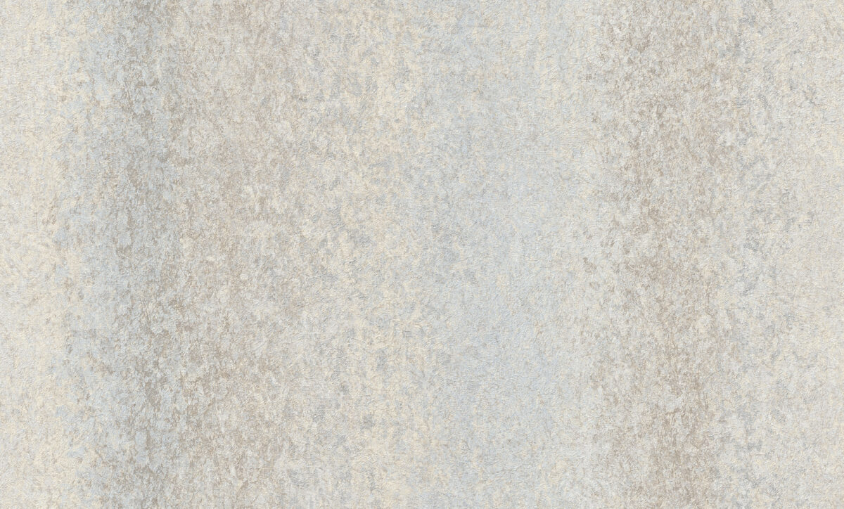 A55206
