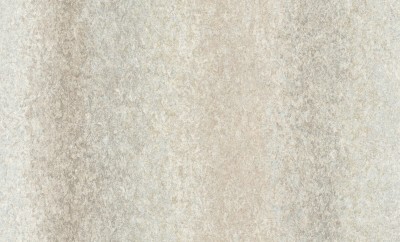 A55207