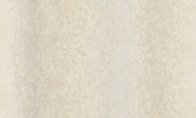 A55208