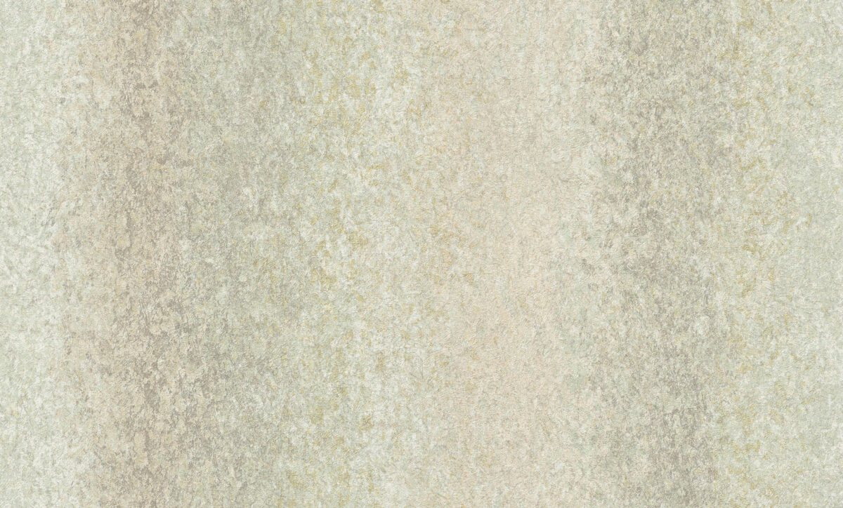 A55209