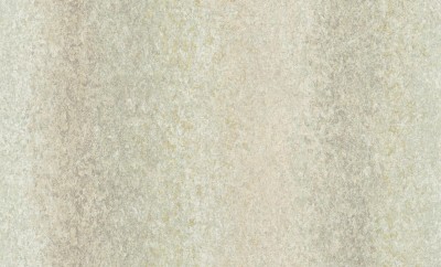 A55209