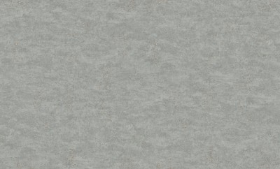 R119003