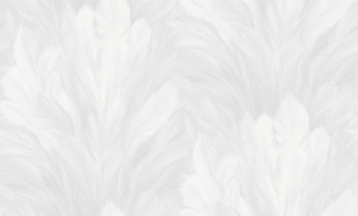R167113