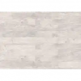 Дуб Осло