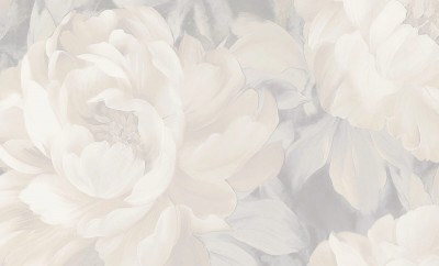 A79401
