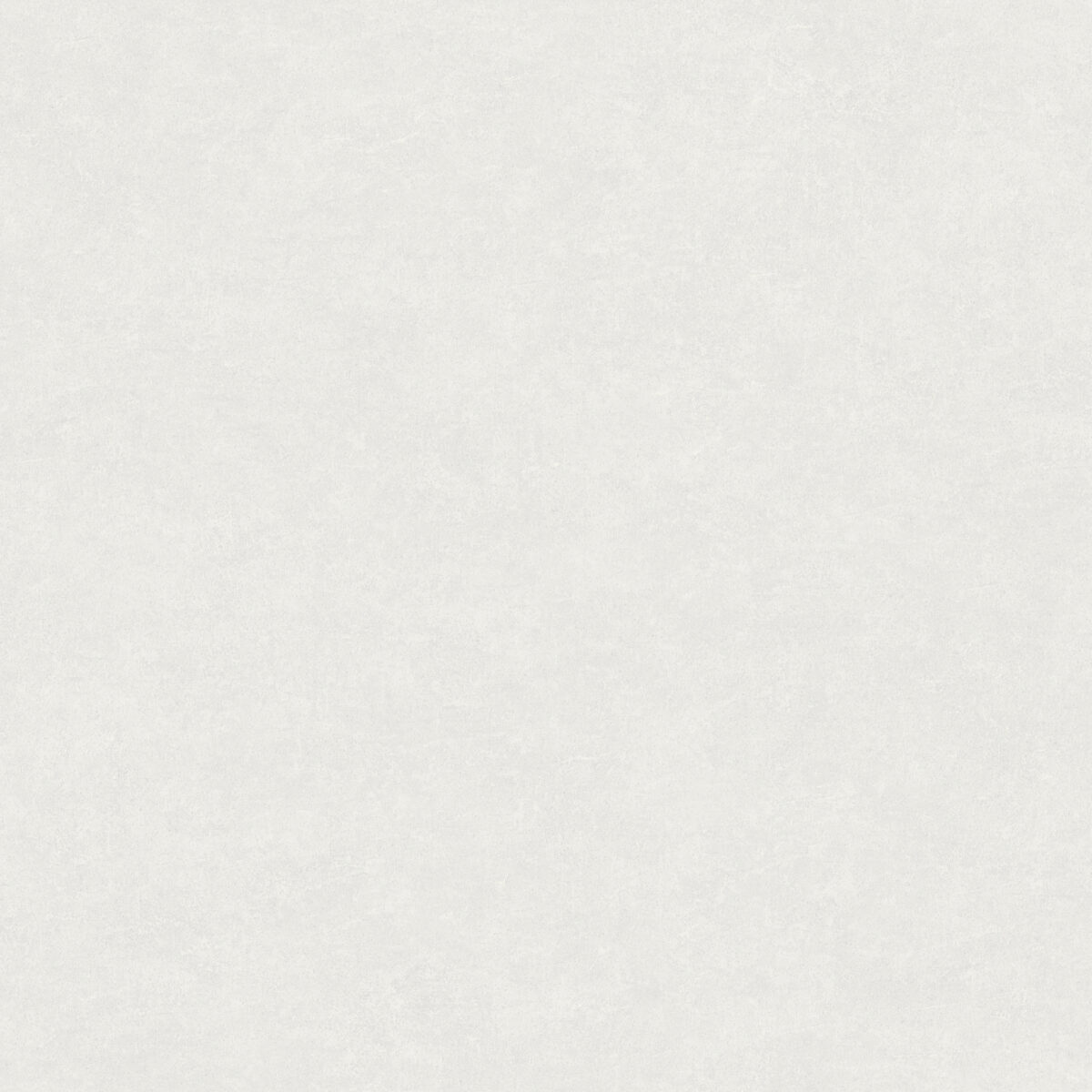 A82202