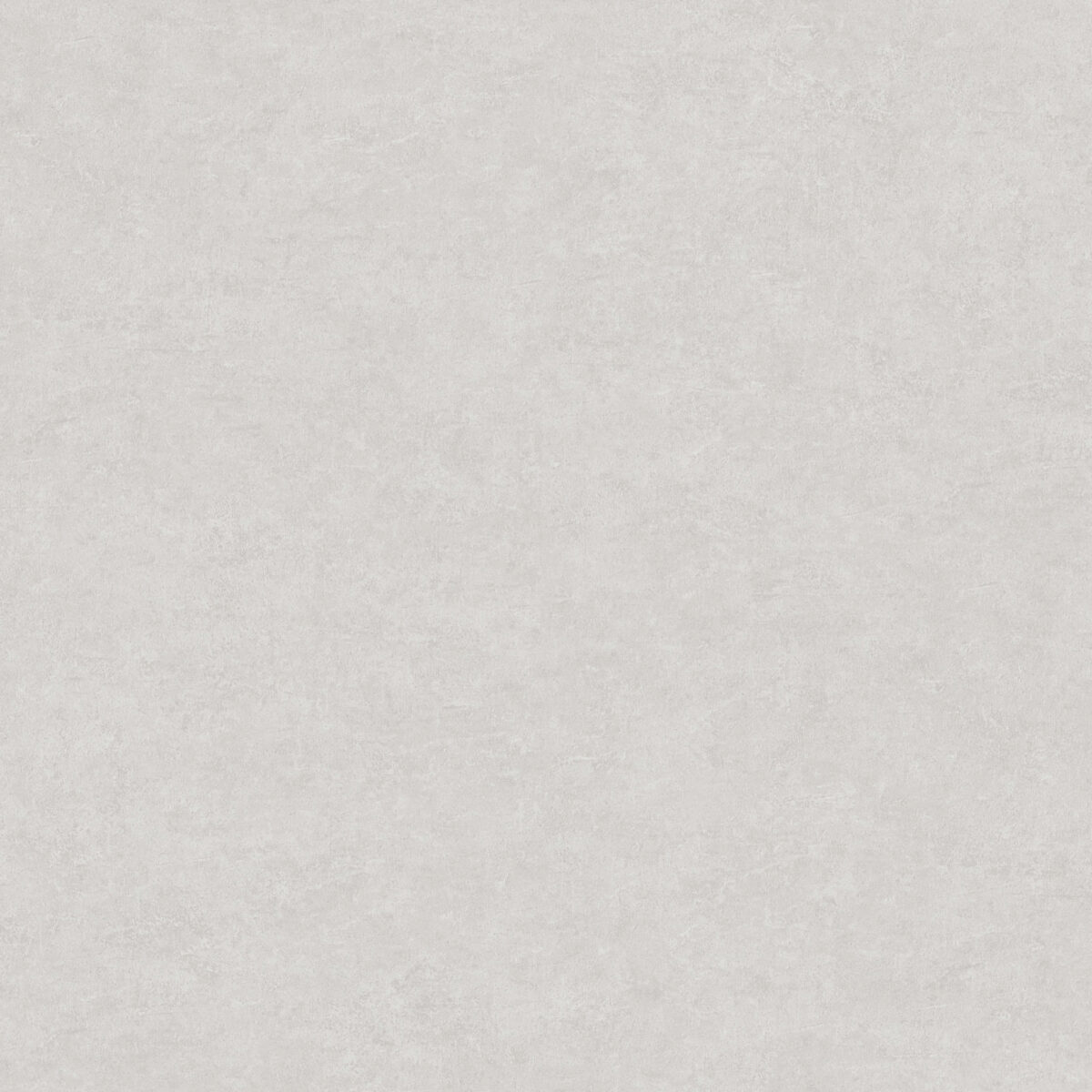 A82204