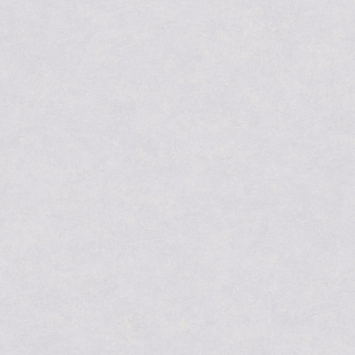 A82206