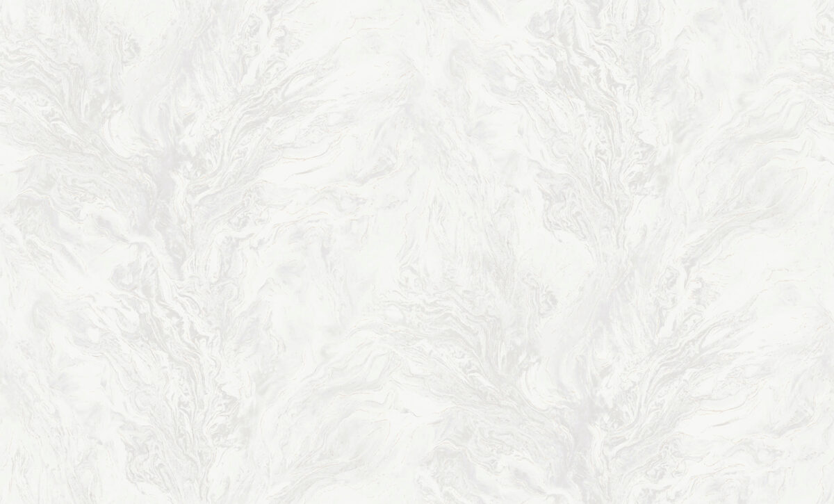 R217101