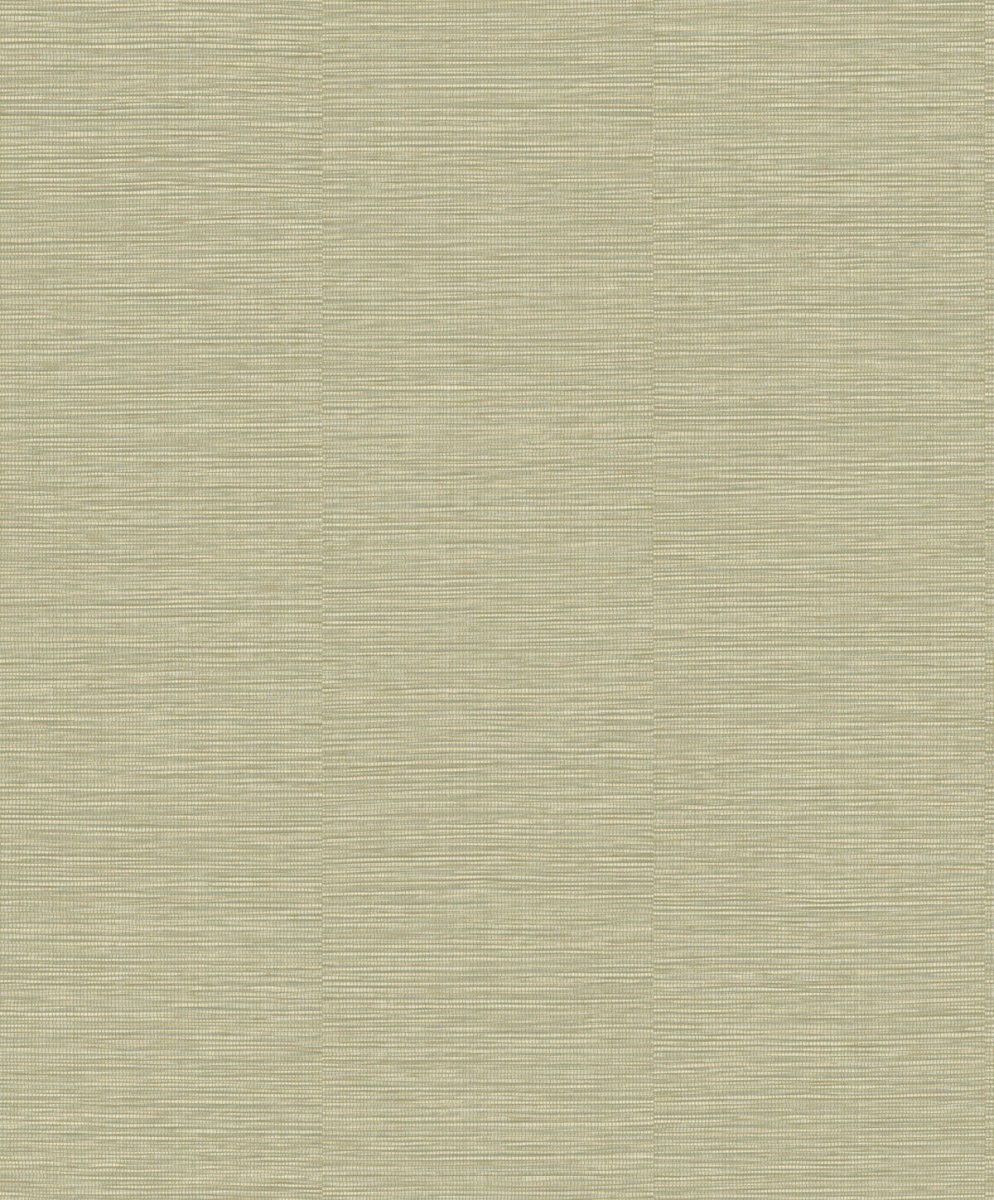 LV 1602