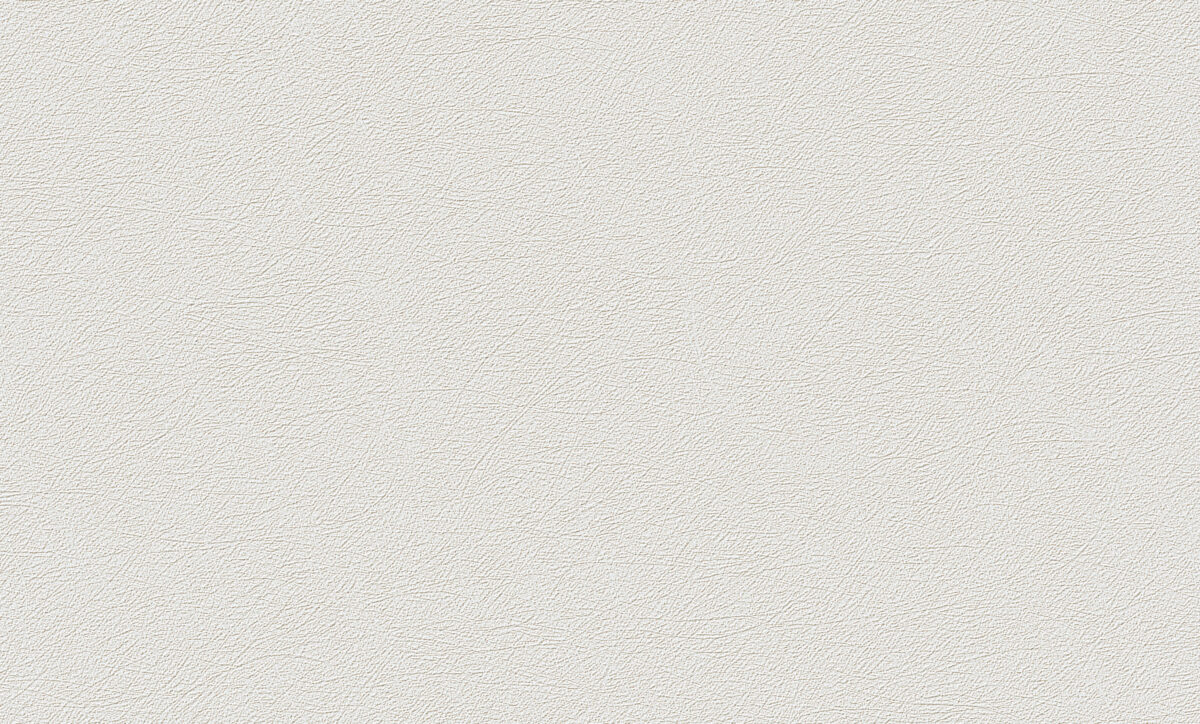 UI 1006
