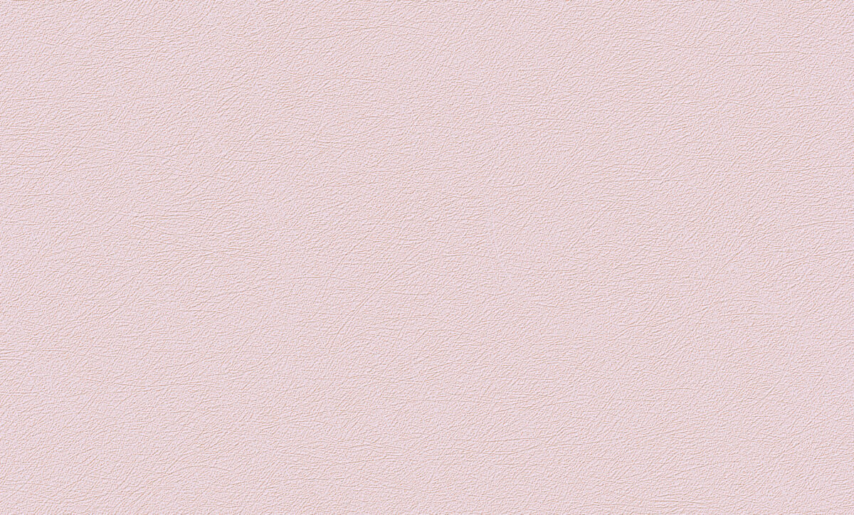 UI 1010