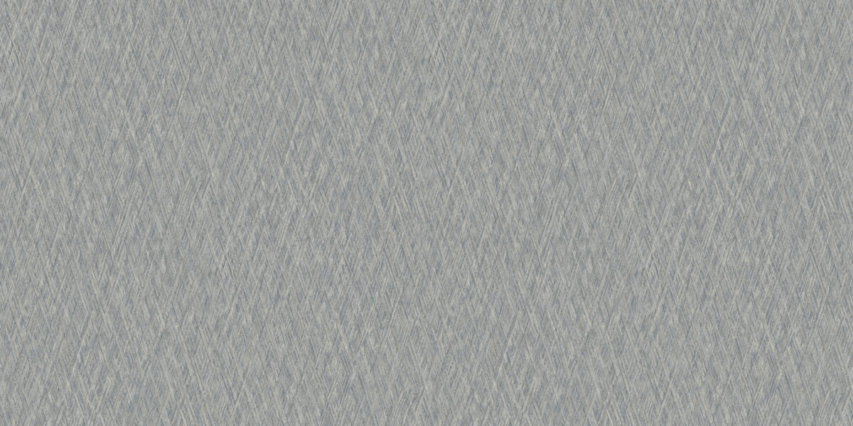 VE 1006