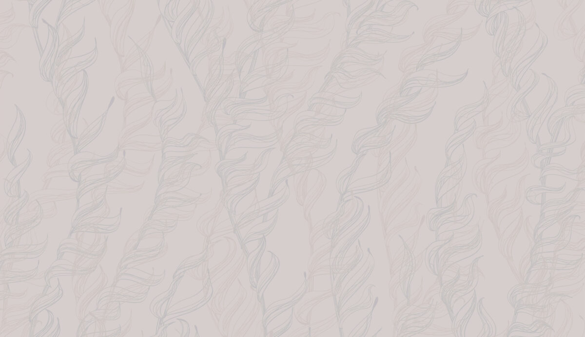 Hg4 001