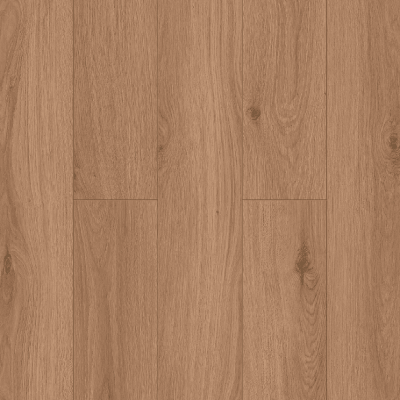 Дуб Аликанте 