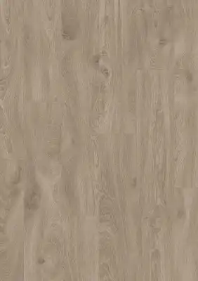 Дуб Испанский Какао