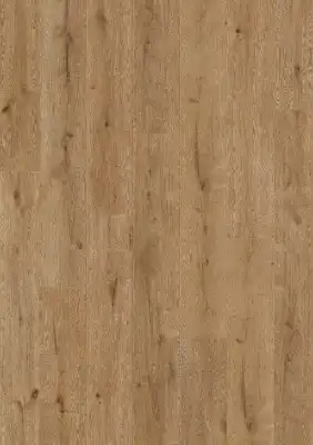 Дуб Риверсайд