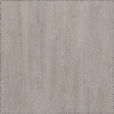 Дуб Сомерсет (Somerset Oak 05906/400087724)