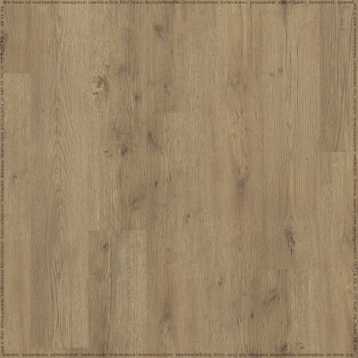 Дуб Мейджор (Major Oak 05829/400087743)