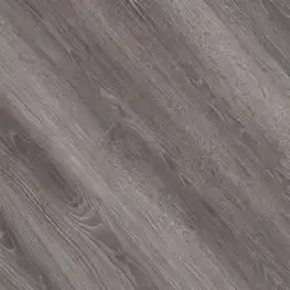 Дуб северный