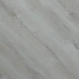 Дуб Барберо