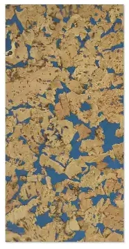 Кориа азул 600х300х3 мм