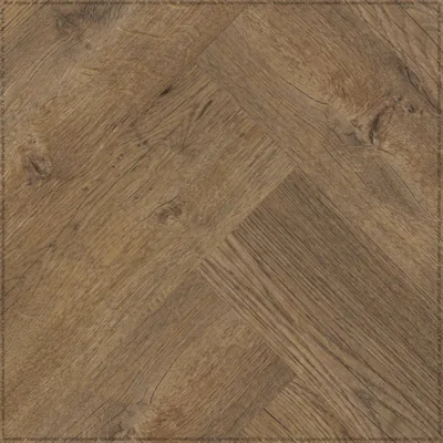 Дуб Берген (Bergen Oak 834)