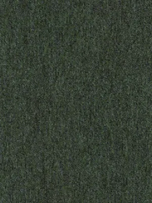 3169