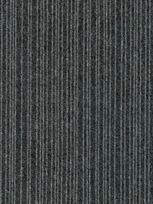 6923