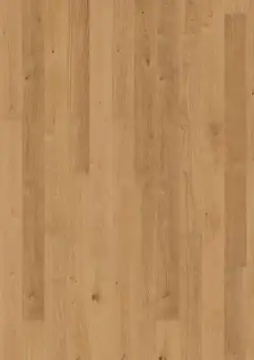 Дуб Солнце (Sun)